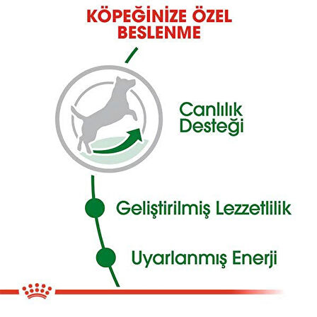 Royal Canin Mini Adult 8+ Küçük Irk Yaşlı Köpek Maması 2 Kg