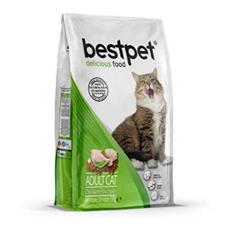 Bestpet Tavuklu Pirinçli Yetişkin Kedi Maması 15 Kg