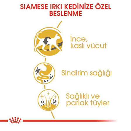 Royal Canin Siamese Adult Yetişkin Siyam Kedisi Maması 2 Kg