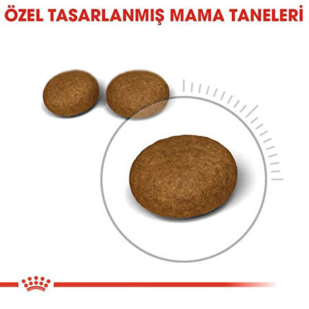 Royal Canin Hair Skin Deri ve Tüy Sağlığı için Kedi Maması 2 Kg