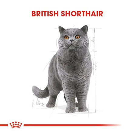 Royal Canin British Shorthair Adult Pouch Konserve Kedi Maması 85 Gr