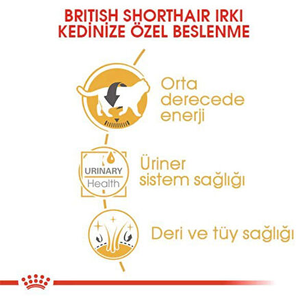 Royal Canin British Shorthair Adult Pouch Konserve Kedi Maması 85 Gr