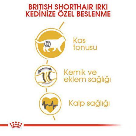 Royal Canin British Shorthair Adult Yetişkin Kedi Maması 10 Kg