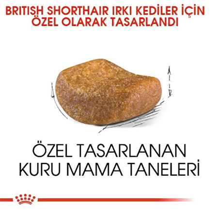 Royal Canin British Shorthair Adult Yetişkin Kedi Maması 10 Kg