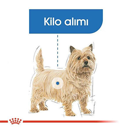 Royal Canin Mini Light Care Diyet Yetişkin Köpek Maması 3 Kg