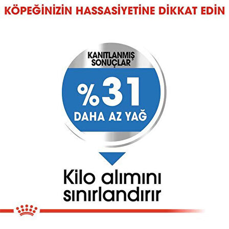 Royal Canin Mini Light Care Diyet Yetişkin Köpek Maması 3 Kg