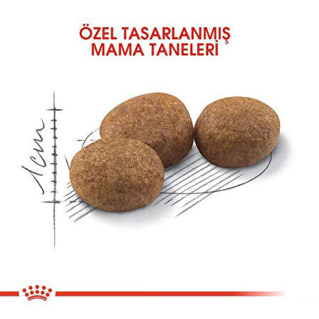 Royal Canin Sterilised Yetişkin Kısırlaştırılmış Kedi Maması 10 Kg