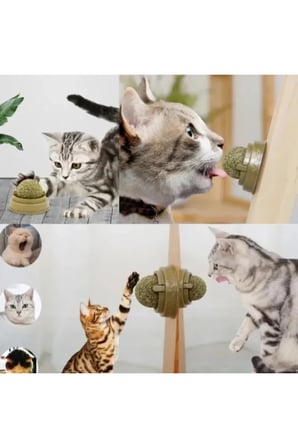 5 Adet Kedi Nanesi Oyun Topu – Catnip Topu, Kediler İçin Eğlenceli Etkileşim Oyuncağı, Diş Temizlemeye Yardımcı, Taşınabilir