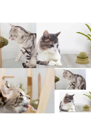 5 Adet Kedi Nanesi Oyun Topu – Catnip Topu, Kediler İçin Eğlenceli Etkileşim Oyuncağı, Diş Temizlemeye Yardımcı, Taşınabilir