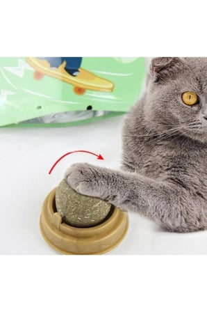 5 Adet Kedi Nanesi Oyun Topu – Catnip Topu, Kediler İçin Eğlenceli Etkileşim Oyuncağı, Diş Temizlemeye Yardımcı, Taşınabilir