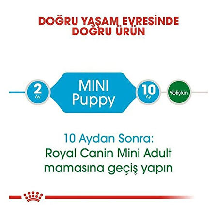 Royal Canin Mini Puppy Küçük Irk Yavru Köpek Maması 4 Kg