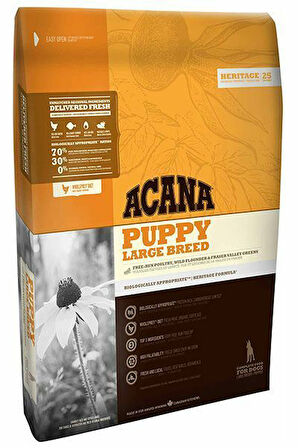 Acana Puppy Large Tahılsız Tavuklu ve Balıklı Büyük Irk Yavru Köpek Maması 11.4 Kg