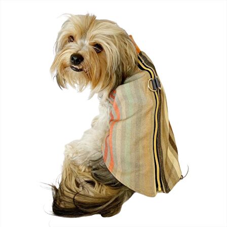 Stripe Orange Su itici Yağmurluk Köpek Yağmurluğu 