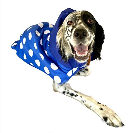 Mega Dots Blue Köpek Kapşonlu Yağmurluk Orta ve Büyük Irklar İçin