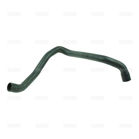 Rapro 25431 Radyatör Alt Hortumu Vw Golf V-Passat V-Caddy III 1.6 04-08Bgu-Bse-Bsf