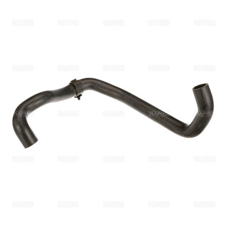 Rapro 25842 Radyatör Alt Hortumu A3 1.9 Tdı-2.0 Tdı-2.0 TDI 16V