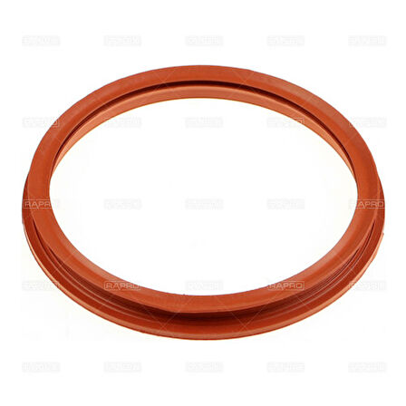 Rapro 54283 Yakıt Deposu Contası A1 2.0 Tfsı