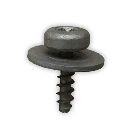 Trifon Vida Gri Torx 4,8X16mm W503524S424 Ford 1388632 10 Adet