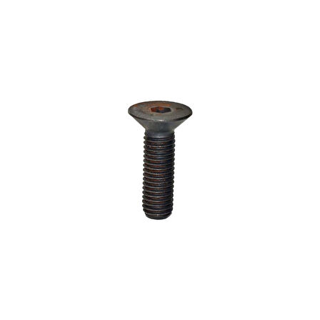 Havşa Başlı İmbus Civata M10X35 BEYAZ 25 Adet