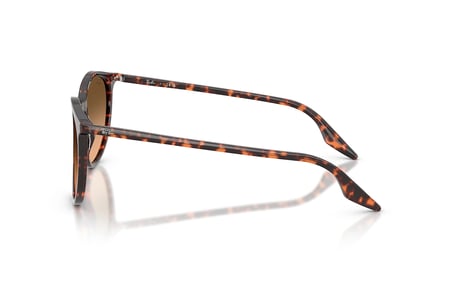Ray-Ban RB2204 1429/3B GÜNEŞ GÖZLÜĞÜ