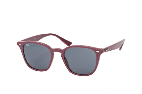 Ray-Ban RB 4258 6382 /87
