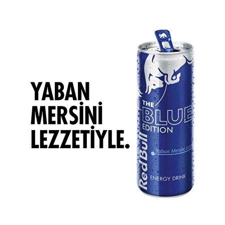 Red Bull Enerji İçeceği Yaban Mersini 250 Ml