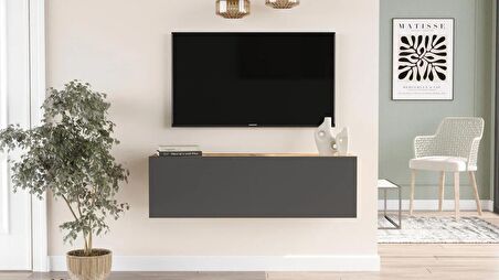 Robin Home Loft Tv Ünitesi Televizyon Sehpası LF12-AA