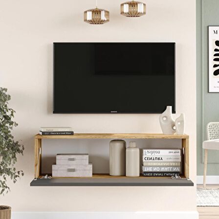 Robin Home Loft Tv Ünitesi Televizyon Sehpası LF12-AA