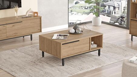 Robin Home Lidya Orta Sehpa Metal Ayaklı Kapaklı Sepet