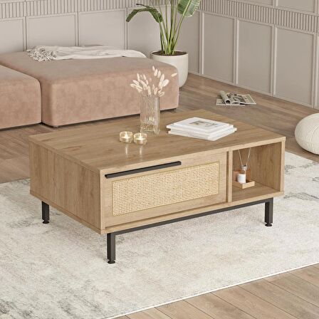 Robin Home Lidya Orta Sehpa Metal Ayaklı Kapaklı Uv Baskı Sepet-Jüt 