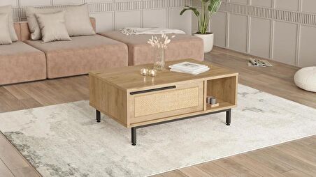 Robin Home Lidya Orta Sehpa Metal Ayaklı Kapaklı Uv Baskı Sepet-Jüt 
