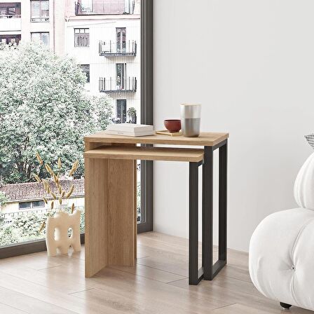 Robin Home Lidya 2'Li Zigon Sehpa Yan Sehpa Metal Ayaklı Sepet 