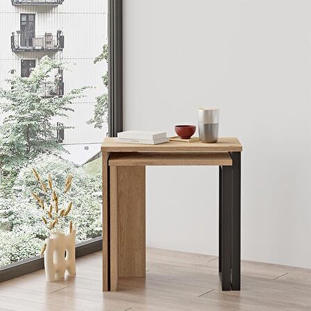 Robin Home Lidya 2'Li Zigon Sehpa Yan Sehpa Metal Ayaklı Sepet 