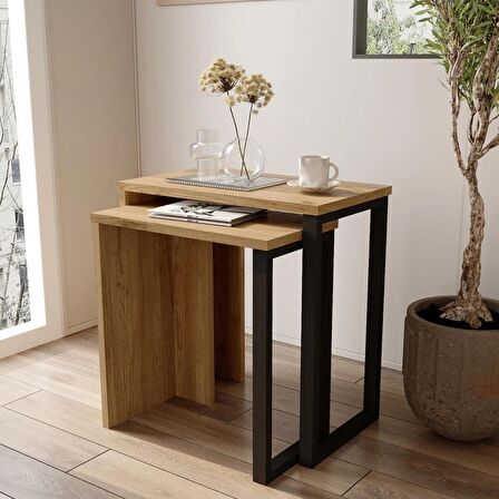 Robin Home Lidya 2'Li Zigon Sehpa Yan Sehpa Metal Ayaklı Uv Baskı Sepet-Jüt 