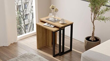 Robin Home Lidya 2'Li Zigon Sehpa Yan Sehpa Metal Ayaklı Uv Baskı Sepet-Jüt 