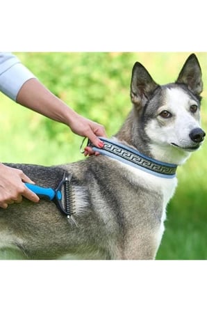 Plastik Saplı Metal Kedi Köpek Bakım Kıtık Tüy Topak Açıcı Tarak
