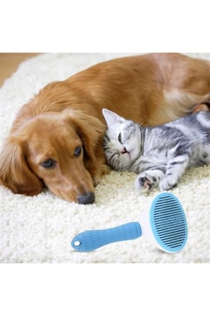Kedi Köpek Tüy Toplayıcı Kendini Temizleyebilen Ergonomik Rahat Evcil Hayvan Tarağı Mavi