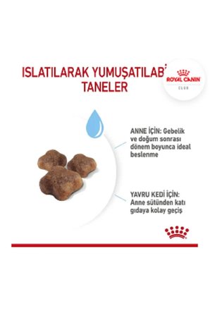 Royal Canin Fhn Mother & Babycat Anne & Yavru Kuru Kedi Maması 2 Kg