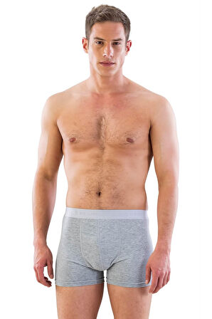 Gri Mı Emay 6700 Erkek Boxer