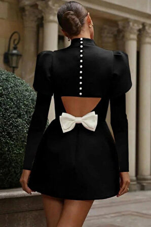 Reka Moda Kadın Uzun Kollu Yarı Balıkçı Yaka Arkadan Kurdela Detaylı Mini Atlas Elbise