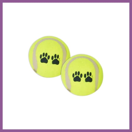 Bezos WP-6331 Pet Tenis Oyun Topu 2 li 1 Adet RENGAREN