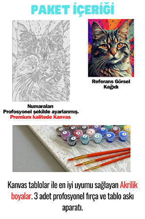 Sayılarla Boyama Seti Numaralı Tuval Fırça Boya RENKLİ KEDİ 40X50 Cm