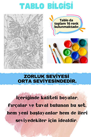 Sayılarla Boyama Seti Numaralı Tuval Fırça Boya RENKLİ KEDİ 40X50 Cm