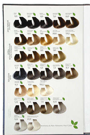 Renna Bitkisel Amonyaksız Saç Boyası 60 Ml 4-6 Kestane Kızıl Oksidan Hediyeli