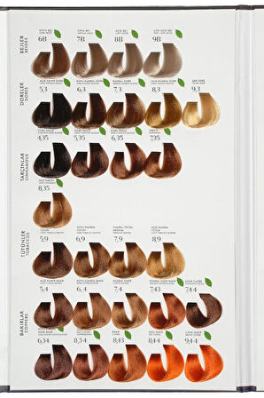 Renna Bitkisel Amonyaksız Saç Boyası 60 Ml 4-6 Kestane Kızıl Oksidan Hediyeli