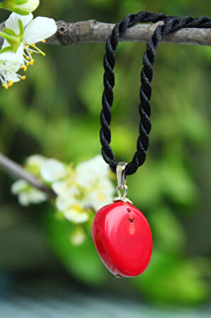 STONEAGE JEWELLERY Mercan Doğal Taş Kararlılık Kadın Kolye