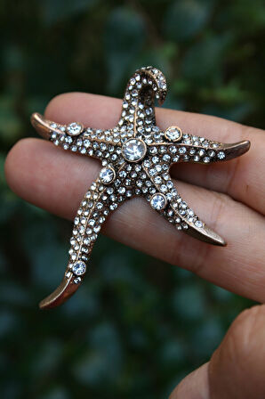 STONEAGE Deniz Yıldızı Lüks Broş