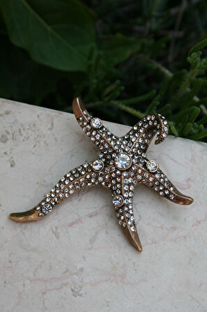 STONEAGE Deniz Yıldızı Lüks Broş