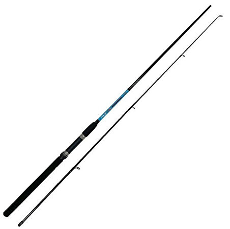 Yek Outdoor Hazır Spin Oltası Seti Okuma G-Power Spin 240cm 15-40 gr 2 Parça Spin Kamışı & Okuma Revenger RV-40 Olta Makinesi