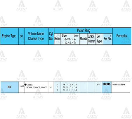 Riken 30085-STD Segman 323 90-97 1.6 78mm B6 STD Takım 30085STD